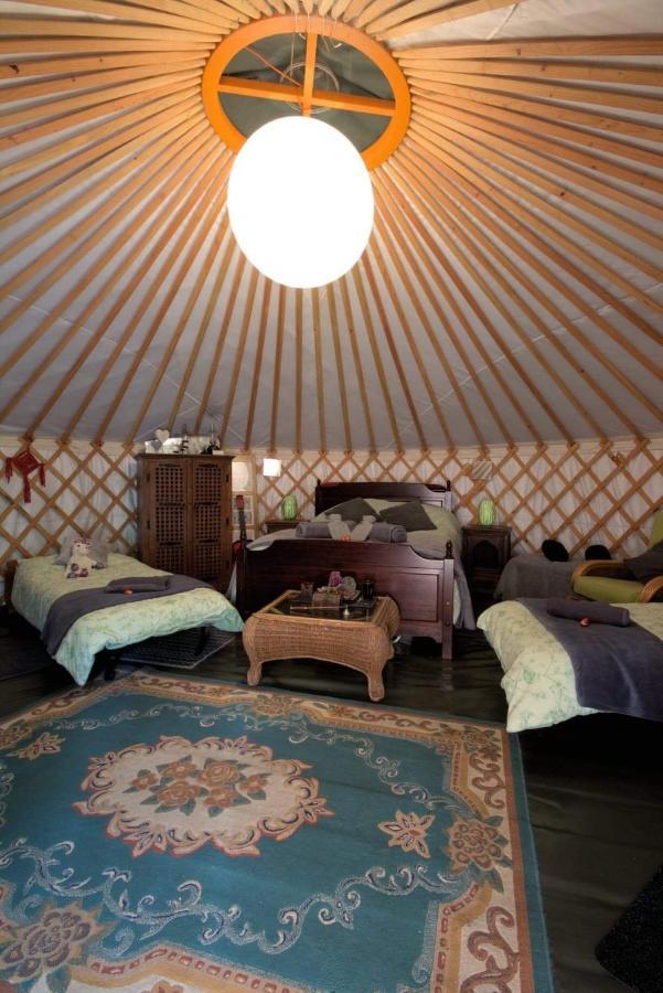 Magical Forest Yurt Sturry Exterior foto