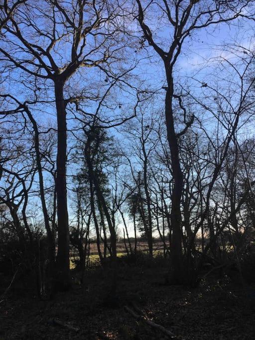Magical Forest Yurt Sturry Exterior foto