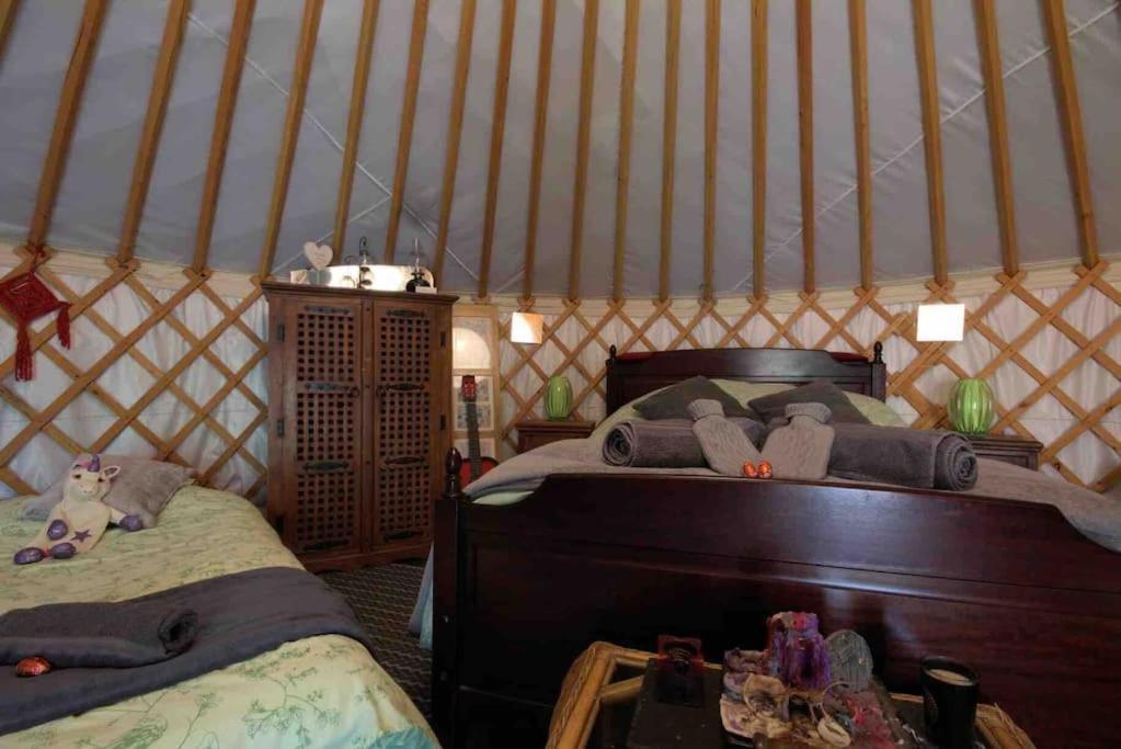 Magical Forest Yurt Sturry Exterior foto