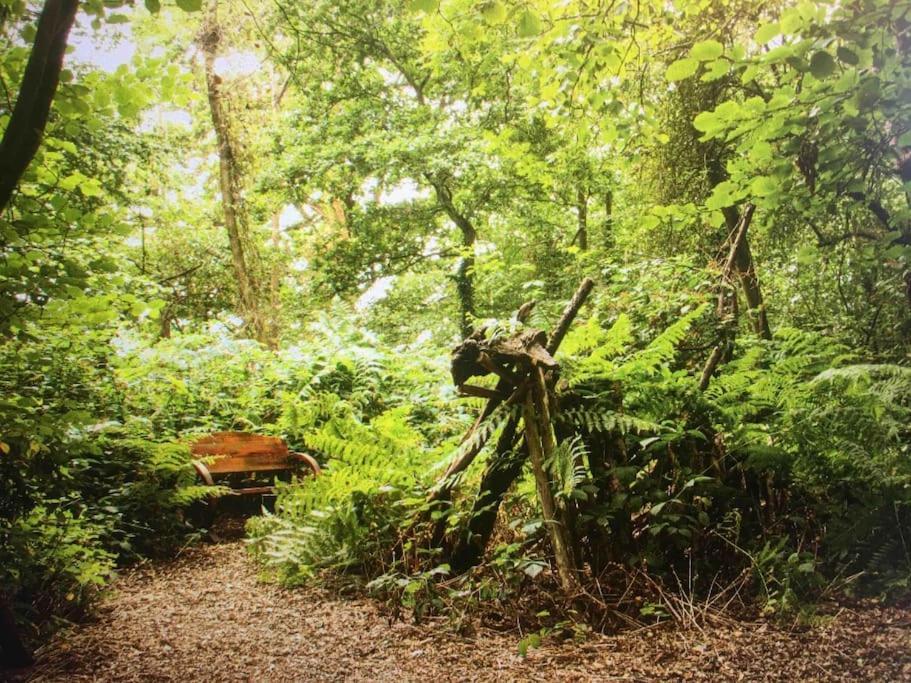 Magical Forest Yurt Sturry Exterior foto