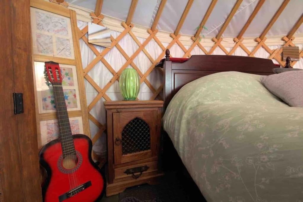 Magical Forest Yurt Sturry Exterior foto